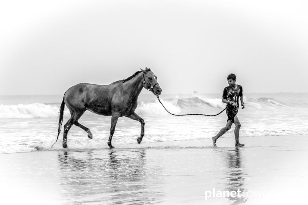 A horse leaves the sea at Khuk Khak beach, Khao Lak, Phan Nga Province, Thailand, 2018