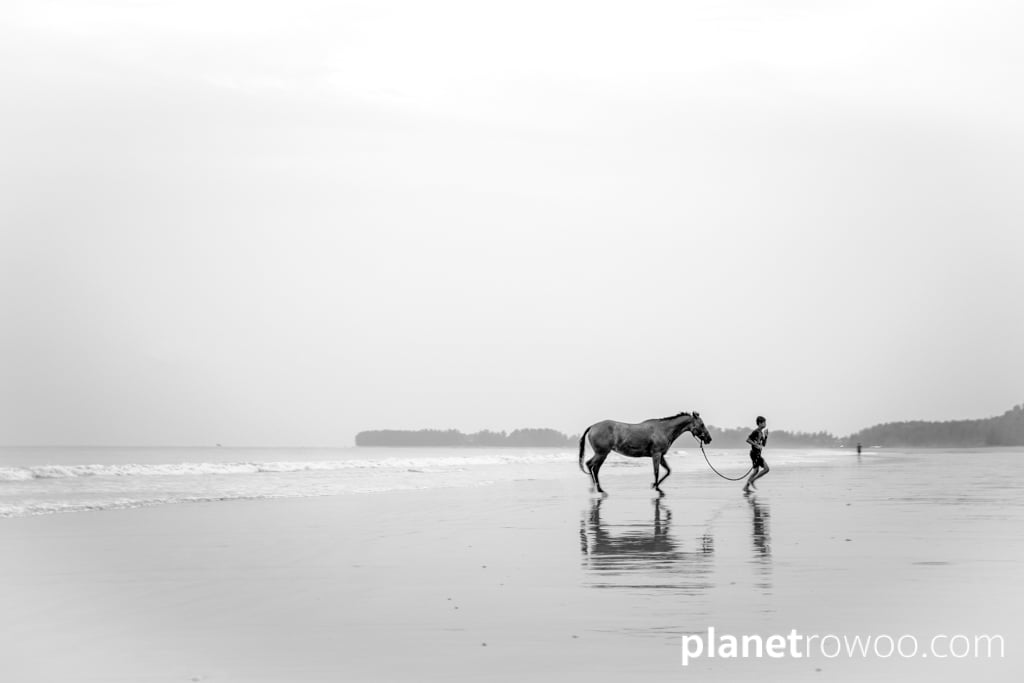 A horse leaves the ocean at Khuk Khak beach, Khao Lak, Phan Nga Province, Thailand, 2018