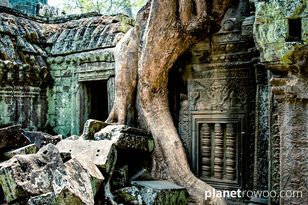 Ta Prohm engulfed by tree roots, Angkor, Siem Reap, Cambodia, 2018