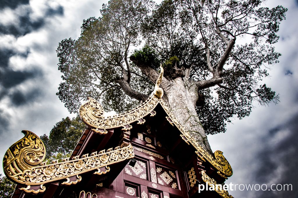 Wat Chedi Luang, Chiang Mai, Northern Thailand, 2017